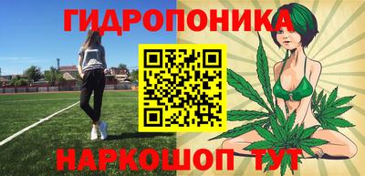 PSILOCYBIN Севастополь