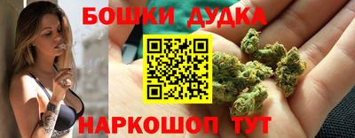 PSILOCYBIN Севастополь