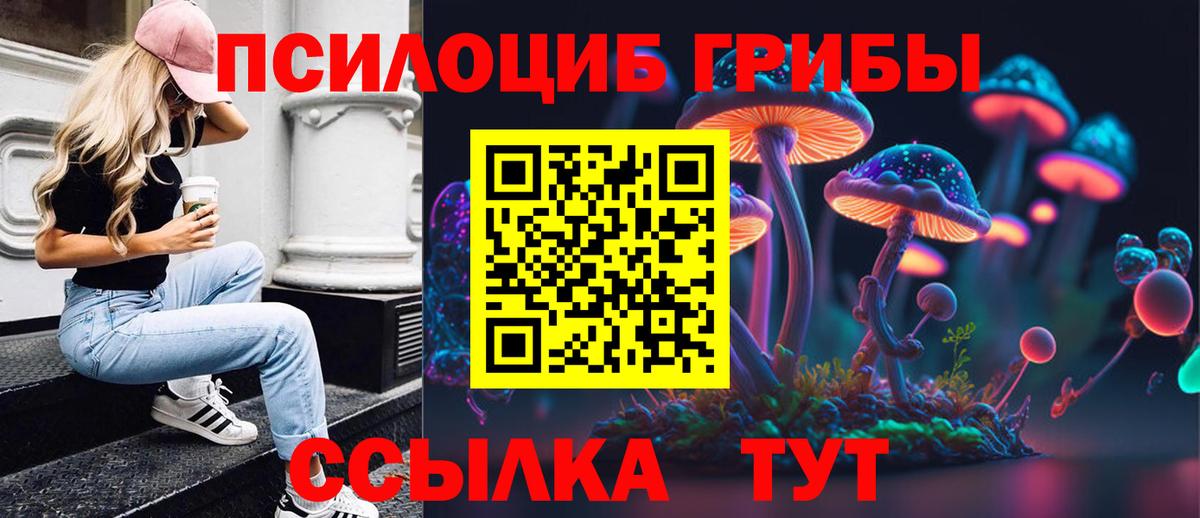 Омск  Галлюциногенные грибы Psilocybine cubensis  Вход с VPN  Галлюциногенные грибы Psilocybe 